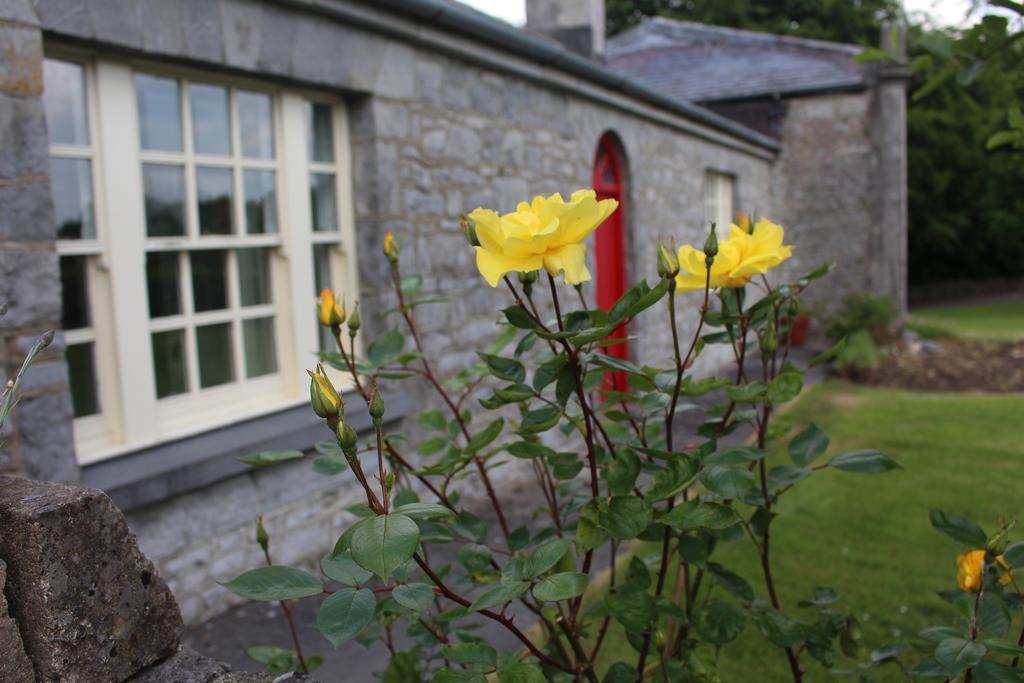 Forest Park House B&B Boyle Exteriör bild
